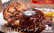 さつま福永牛 ハンバーグ 3個 個包装 福永畜産《30日以内に出荷予定(土日祝除く)》鹿児島県 さつま町 和牛 福永牛 牛 牛肉 ハンバーグ---stm-hng-15-3k---