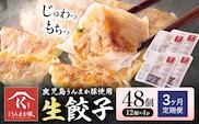 【3ヶ月定期便】鹿児島 うんまか豚 生餃子 48個 株式会社 寺師《お申込みの翌月出荷》鹿児島県 さつま町 餃子 ギョウザ 焼き餃子 水餃子---stm-trs-6-mo3---