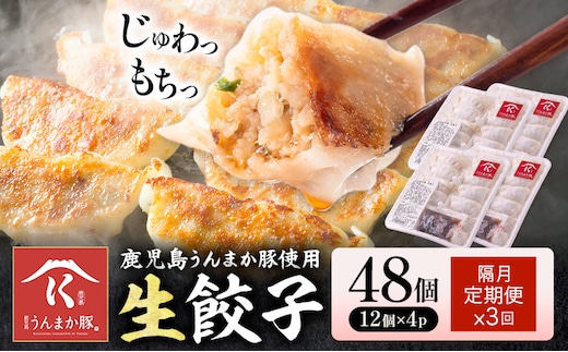 【隔月定期便×3回】鹿児島 うんまか豚 生餃子 48個 株式会社 寺師《お申込みの翌月出荷》鹿児島県 さつま町 餃子 ギョウザ 焼き餃子 水餃子---stm-trs-12-ev2mo3---