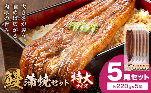 ＼特大サイズ／ 鹿児島県産 鰻蒲焼真空セット！ 5尾 タレ・山椒付！ 株式会社薩摩川内鰻《30日以内に出荷予定(土日祝除く)》 鹿児島県 さつま町 ウナギ 丑の日 うなぎ 刻み グルメ 特大 鰻 蒲焼 真空---stm-ung-13-1100g---