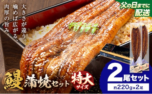 【父の日】＼特大サイズ／ 鹿児島県産 鰻蒲焼真空セット！2尾 タレ・山椒付！ 株式会社薩摩川内鰻 《6月中旬-6月下旬頃出荷》 鹿児島県 さつま町 送料無料 ウナギ 丑の日 うなぎ 刻み グルメ 特大 鰻 蒲焼 真空---stm-ung-30-ti2to---