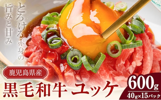 鹿児島県産黒毛和牛ユッケ 600g 40g×15パック 株式会社カミチク《90日以内に出荷予定(土日祝除く)》鹿児島県 さつま町 鹿児島県産 黒毛和牛 ユッケ 生食用 小分け タレ付き---stm-kmc-5-15p---