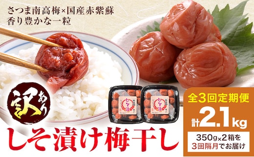 訳あり しそ漬け梅干し 定期便 隔月 3回 350g×2箱 農事組合法人 梅香丘《お申込みの翌月出荷》鹿児島県 さつま町 うめぼし 紫蘇 お取り寄せ プレゼント---stm-umk-9-ev2---