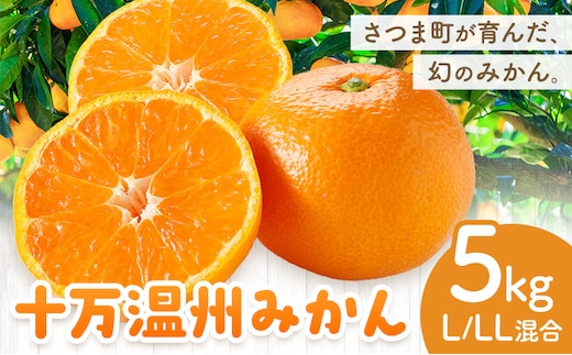 十万温州みかん L LL サイズ混合 5kg 田野農園《12月中旬-3月中旬頃出荷》鹿児島県 さつま町 みかん 蜜柑 柑橘 果物 くだもの フルーツ ジューシー 送料無料---stm-tnn-36-5kg---