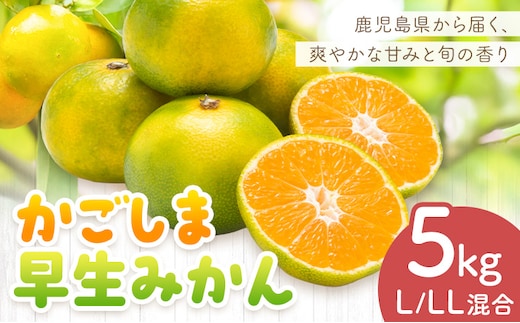 かごしま早生みかん L LL サイズ混合 5kg 田野農園《10月中旬-1月中旬頃出荷》鹿児島県 さつま町 早生 みかん 蜜柑 柑橘 果物 くだもの フルーツ ジューシー 送料無料---stm-tnn-32-5kg---