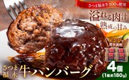 さつま福永牛 ハンバーグ 4個 個包装 福永畜産《30日以内に出荷予定(土日祝除く)》鹿児島県 さつま町 和牛 福永牛 牛 牛肉 ハンバーグ---stm-hng-16-4k---