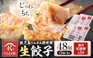 【隔月定期便×3回】鹿児島 うんまか豚 生餃子 48個 株式会社 寺師《お申込みの翌月出荷》鹿児島県 さつま町 餃子 ギョウザ 焼き餃子 水餃子---stm-trs-12-ev2mo3---