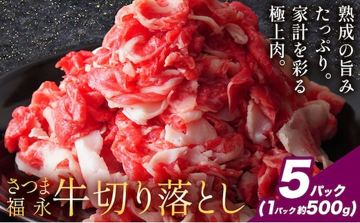 黒毛和牛 さつま福永牛 切り落とし 5パック(1パック500g) 福永畜産《30日以内に出荷予定(土日祝除く)》鹿児島 国産 九州産 肉じゃが 牛丼 冷凍 鹿児島県 さつま町 牛肉 和牛 さつま福永牛 すき焼き 食べ比べ セット---stm-hng-26-2500ga---