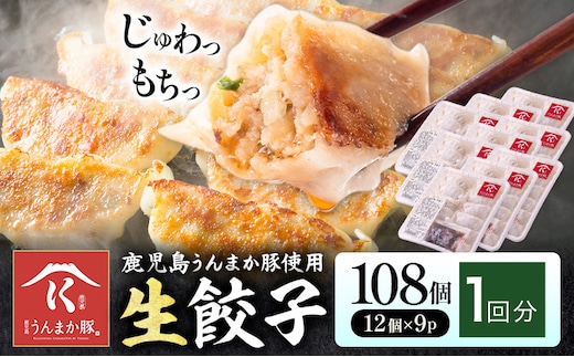 鹿児島 うんまか豚 生餃子 108個 株式会社 寺師《60日以内に出荷予定(土日祝除く)》鹿児島県 さつま町 餃子 ギョウザ 焼き餃子 水餃子---stm-trs-5-108k---