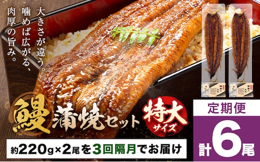 ＼特大サイズ／ 鹿児島県産 鰻蒲焼真空セット！ 2尾 隔月3回定期便 タレ・山椒付！ 株式会社薩摩川内鰻 《お申込みの翌月出荷》 鹿児島県 さつま町 ウナギ 丑の日 うなぎ 刻み グルメ 特大 鰻 蒲焼 真空---stm-ung-14-ev2mo3---