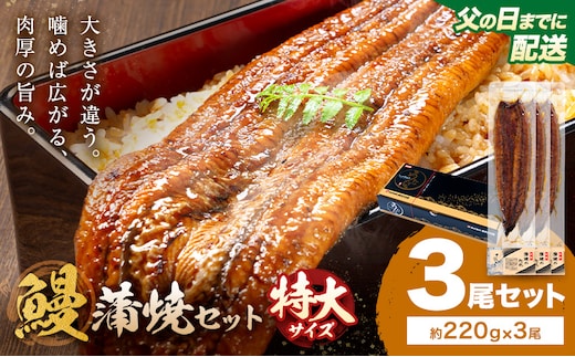 【父の日】＼特大サイズ／ 鹿児島県産 鰻蒲焼真空セット！3尾 タレ・山椒付！ 株式会社薩摩川内鰻 《6月中旬-6月下旬頃出荷》 鹿児島県 さつま町 送料無料 ウナギ 丑の日 うなぎ 刻み グルメ 特大 鰻 蒲焼 真空---stm-ung-31-ti3to---
