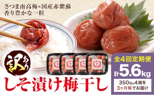 訳あり しそ漬け梅干し 350g×4箱 定期便 4回 農事組合法人 梅香丘《お申込みの翌月出荷》鹿児島県 さつま町 うめぼし 紫蘇 お取り寄せ プレゼント---stm-umk-10-ev3---