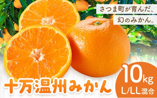 十万温州みかん L LL サイズ混合 10kg 田野農園《12月中旬-3月中旬頃出荷》鹿児島県 さつま町 みかん 蜜柑 柑橘 果物 くだもの フルーツ ジューシー 送料無料---stm-tnn-37-10kg---