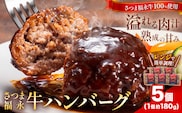さつま福永牛 ハンバーグ 5個 個包装 福永畜産《30日以内に出荷予定(土日祝除く)》鹿児島県 さつま町 和牛 福永牛 牛 牛肉 ハンバーグ---stm-hng-17-5k---