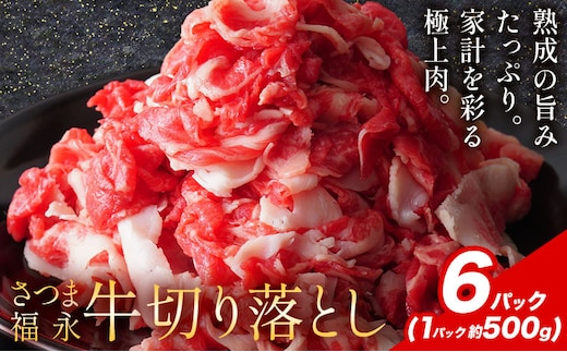 黒毛和牛 さつま福永牛 切り落とし 6パック(1パック500g) 福永畜産《30日以内に出荷予定(土日祝除く)》鹿児島 国産 九州産 肉じゃが 牛丼 冷凍 鹿児島県 さつま町 牛肉 和牛 さつま福永牛 すき焼き 食べ比べ セット---stm-hng-27-3000ga---