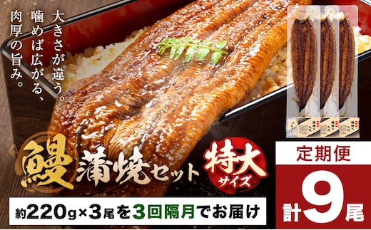＼特大サイズ／ 鹿児島県産 鰻蒲焼真空セット！ 3尾 隔月3回定期便 タレ・山椒付！ 株式会社薩摩川内鰻 《お申込みの翌月出荷》鹿児島県 さつま町 ウナギ 丑の日 うなぎ 刻み グルメ 特大 鰻 蒲焼 真空---stm-ung-16-ev2mo3---