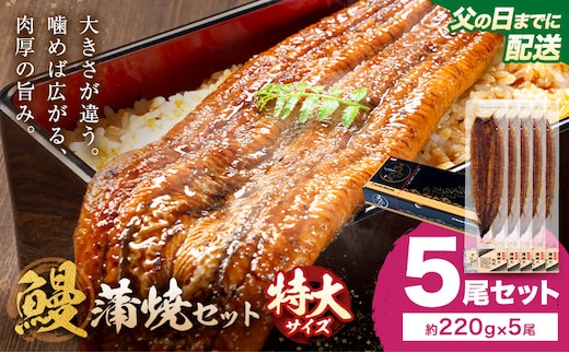 【父の日】＼特大サイズ／ 鹿児島県産 鰻蒲焼真空セット！5尾 タレ・山椒付！ 株式会社薩摩川内鰻 《6月中旬-6月下旬頃出荷》 鹿児島県 さつま町 送料無料 ウナギ 丑の日 うなぎ 刻み グルメ 特大 鰻 蒲焼 真空---stm-ung-32-ti5to---