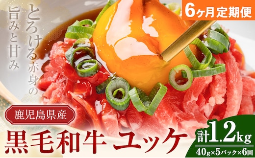 【連続6ヶ月定期便】鹿児島県産黒毛和牛ユッケ 計1.2kg 40g×5パック×6回 株式会社カミチク《お申し込みの翌月から出荷》鹿児島県 さつま町 鹿児島県産 黒毛和牛 ユッケ 生食用 小分け タレ付き 定期便---stm-kmc-7-mo6---