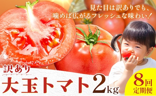【8回定期便】訳あり トマト 大玉 大玉トマト わけあり 2kg ×8回 吉祥庵園芸《11月上旬-6月上旬頃出荷》鹿児島県 さつま町 送料無料 野菜 トマト お取り寄せ---stm-eng-6-mo8---