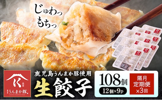 【隔月定期便×3回】鹿児島 うんまか豚 生餃子 108個 株式会社 寺師《お申込みの翌月出荷》鹿児島県 さつま町 餃子 ギョウザ 焼き餃子 水餃子---stm-trs-13-ev2mo3---