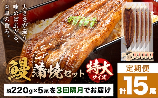 ＼特大サイズ／ 鹿児島県産 鰻蒲焼真空セット！ 5尾 隔月3回定期便 タレ・山椒付！ 株式会社薩摩川内鰻 《お申込みの翌月出荷》鹿児島県 さつま町 ウナギ 丑の日 うなぎ 刻み グルメ 特大 鰻 蒲焼 真空---stm-ung-18-ev2mo3---