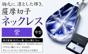 薩摩切子 ネックレス 紫 雫型 薩摩びーどろ工芸株式会社《90日以内に出荷予定(土日祝除く)》鹿児島県 さつま町 送料無料 伝統工芸 切子 さつま切子 アクセサリー---stm-sbr-39-1sm---