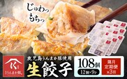 【隔月定期便×3回】鹿児島 うんまか豚 生餃子 108個 株式会社 寺師《お申込みの翌月出荷》鹿児島県 さつま町 餃子 ギョウザ 焼き餃子 水餃子---stm-trs-13-ev2mo3---