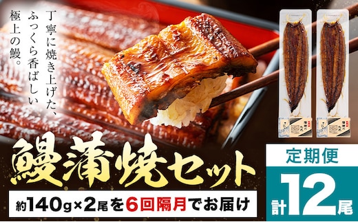 【隔月6回定期便】鰻 うなぎ 蒲焼き 2尾 (1尾約140g) タレ 山椒 付き 株式会社薩摩川内鰻《お申込みの翌月出荷》鹿児島県 さつま町 送料無料 ウナギ 蒲焼 かば焼き 丑の日 うなぎ お取り寄せ グルメ---stm-ung-6-eb2mo6---