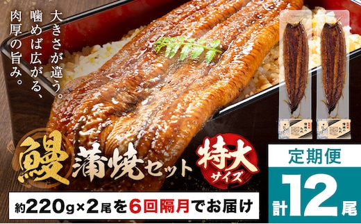 ＼特大サイズ／ 鹿児島県産 鰻蒲焼真空セット！ 2尾 隔月6回定期便 タレ・山椒付！ 株式会社薩摩川内鰻 《お申込みの翌月出荷》 鹿児島県 さつま町 ウナギ 丑の日 うなぎ 刻み グルメ 特大 鰻 蒲焼 真空---stm-ung-15-ev2mo6---