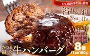 さつま福永牛 ハンバーグ 8個 個包装 福永畜産《30日以内に出荷予定(土日祝除く)》鹿児島県 さつま町 和牛 福永牛 牛 牛肉 ハンバーグ---stm-hng-20-8k---