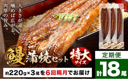 ＼特大サイズ／ 鹿児島県産 鰻蒲焼真空セット！ 3尾 隔月6回定期便 タレ・山椒付！ 株式会社薩摩川内鰻 《お申込みの翌月出荷》 鹿児島県 さつま町 ウナギ 丑の日 うなぎ 刻み グルメ 特大 鰻 蒲焼 真空---stm-ung-17-ev2mo6---