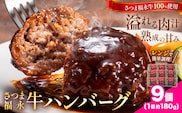 さつま福永牛 ハンバーグ 9個 個包装 福永畜産《30日以内に出荷予定(土日祝除く)》鹿児島県 さつま町 和牛 福永牛 牛 牛肉 ハンバーグ---stm-hng-21-9k---