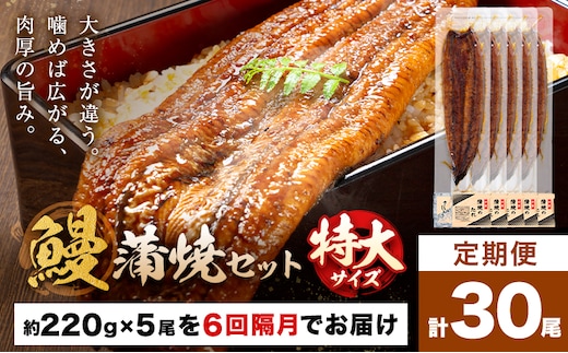 ＼特大サイズ／ 鹿児島県産 鰻蒲焼真空セット！ 5尾 隔月6回定期便 タレ・山椒付！ 株式会社薩摩川内鰻 《お申込みの翌月出荷》 鹿児島県 さつま町 ウナギ 丑の日 うなぎ 刻み グルメ 特大 鰻 蒲焼 真空---stm-ung-19-ev2mo6---