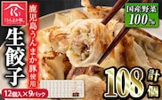 s116 タレ付き！鹿児島うんまか豚生餃子(計108個・12個入り×9P) 鹿児島 冷凍 にんにく・ニラ不使用 国産野菜100％ ぎょうざ 餃子 ギョーザ 焼き餃子 水餃子 生餃子 おかず【肉の寺師】