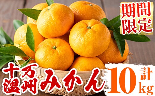 s498 ≪先行予約受付中！2025年12月中旬より順次発送≫十万温州みかん(計約10kg・M～Lサイズ) 鹿児島 国産 九州産 フルーツ 柑橘 みかん 蜜柑 【田野農園】
