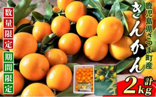 s422 ＜先行予約受付中！2026年1月中旬頃～2月中旬頃発送予定＞《期間・数量限定》フルーツきんかん(計2kg)贈答にもおすすめ！ 果物 フルーツ きんかん キンカン 金柑 柑橘 ギフト 贈答 プレゼント 【JA北さつま】
