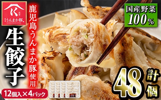 s600 タレ付き！鹿児島うんまか豚生餃子(計48個・12個入り×4P) 鹿児島 冷凍 にんにく・ニラ不使用 国産野菜100％ ぎょうざ 餃子 ギョーザ 焼き餃子 水餃子 生餃子 おかず【肉の寺師】