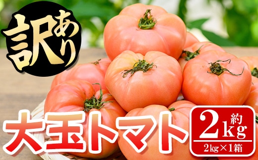 s613 《期間・数量限定》＜訳あり＞大玉トマト(約2kg) 鹿児島 国産 九州産 野菜 やさい 新鮮 とまと トマト 訳あり 規格外 ご家庭用 産地直送 サラダ 【吉祥庵園芸】