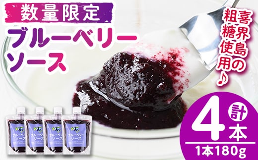 s669 ≪毎月数量限定≫ブルーベリーソース(計4本・1本180g) 鹿児島 国産 九州産 フルーツ 調味料 フルーツソース ジャム ブルーベリー 自家栽培 【田野農園】