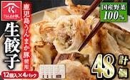 s600 タレ付き！鹿児島うんまか豚生餃子(計48個・12個入り×4P) 鹿児島 冷凍 にんにく・ニラ不使用 国産野菜100％ ぎょうざ 餃子 ギョーザ 焼き餃子 水餃子 生餃子 おかず【肉の寺師】