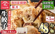 s601-B 【隔月・定期便3回】タレ付き！鹿児島うんまか豚生餃子(計48個・12個入り×4P×3回) 鹿児島 冷凍 にんにく・ニラ不使用 国産野菜100％ ぎょうざ 餃子 ギョーザ 焼き餃子 水餃子 生餃子 おかず 定期便 隔月【肉の寺師】