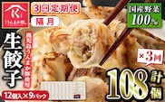 s602-B 【隔月・定期便3回】タレ付き！鹿児島うんまか豚生餃子(計108個・12個入り×9P×3回) 鹿児島 冷凍 にんにく・ニラ不使用 国産野菜100％ ぎょうざ 餃子 ギョーザ 焼き餃子 水餃子 生餃子 おかず 定期便 隔月【肉の寺師】