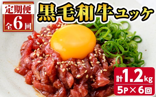 s707 ＜定期便・全6回(連続月)＞鹿児島県産黒毛和牛ユッケ(計1.2kg・40g×5パック×6回) 鹿児島 国産牛 九州産 牛肉 黒牛 生食用 小分け 冷凍 ユッケ 黒毛和牛 牛 【カミチク】