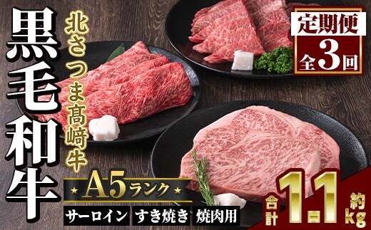 s702 ＜定期便・全3回＞鹿児島県産 北さつま高崎牛 プレミアムセット (合計約1.1kg) 黒毛和牛 牛肉 A5ランク A5等級 ステーキ サーロイン 霜降り サシ 赤身 すきやき すき焼き しゃぶしゃぶ 焼肉 セット 真空パック 冷凍 【太田家】