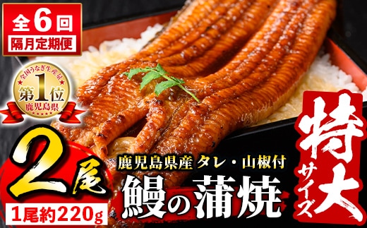 s733 【隔月・定期便6回】＼特大サイズ／ 鹿児島県産 鰻蒲焼真空セット！(計約2.64kg・約220g×2尾×6回) タレ・山椒付！ 鹿児島 九州産 国産 うなぎ ウナギ 鰻 土用の丑の日 蒲焼き うな重 ひつまぶし 定期便 隔月 1ヶ月おきに 冷凍 【薩摩川内鰻】