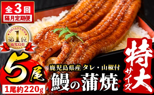 s736 【隔月・定期便3回】＼特大サイズ／ 鹿児島県産 鰻蒲焼真空セット！(計約3.3kg・約220g×5尾×3回) タレ・山椒付！ 鹿児島 九州産 国産 うなぎ ウナギ 鰻 土用の丑の日 蒲焼き うな重 ひつまぶし 定期便 隔月 1ヶ月おきに 冷凍 【薩摩川内鰻】