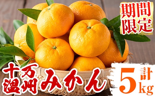 s765 ≪先行予約受付中！2025年12月中旬より順次発送≫十万温州みかん(計約5kg・M～Lサイズ) 鹿児島 国産 九州産 フルーツ 柑橘 みかん 蜜柑 【田野農園】