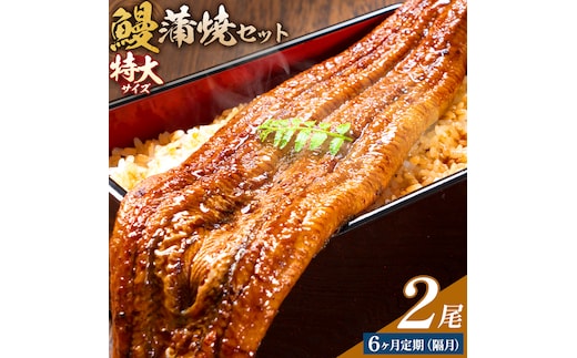 ＼特大サイズ／ 鹿児島県産 鰻蒲焼真空セット！ 2尾 隔月6回定期便 タレ・山椒付！ 株式会社薩摩川内鰻 《お申込みの翌月出荷》 鹿児島県 さつま町 ウナギ 丑の日 うなぎ 刻み グルメ 特大 鰻 蒲焼 真空---stm-ung-15-ev2mo6---