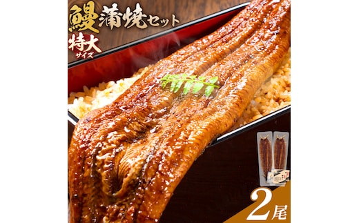 ＼特大サイズ／ 鹿児島県産 鰻蒲焼真空セット！ 2尾 タレ・山椒付！ 株式会社薩摩川内鰻《30日以内に出荷予定(土日祝除く)》鹿児島県 さつま町 送料無料 ウナギ 丑の日 うなぎ 刻み グルメ 特大 鰻 蒲焼 真空---stm-ung-11-440g---