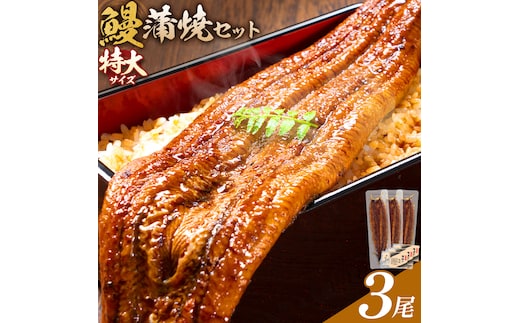 ＼特大サイズ／ 鹿児島県産 鰻蒲焼真空セット！ 3尾 タレ・山椒付！ 株式会社薩摩川内鰻《30日以内に出荷予定(土日祝除く)》鹿児島県 さつま町 ウナギ 丑の日 うなぎ 刻み グルメ 特大 鰻 蒲焼 真空---stm-ung-12-660g---